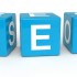 Consultant Seo